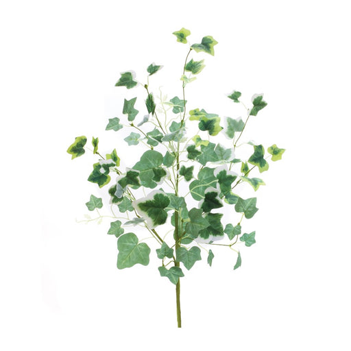 Melrose International Mixed Ivy Foliage Bush, Set of 2, Green/White - 88579DS