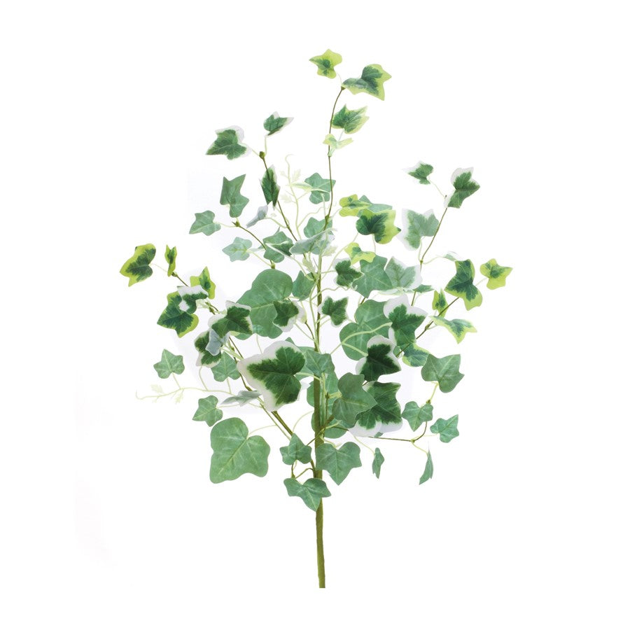 Melrose International Mixed Ivy Foliage Bush, Set of 2, Green/White - 88579DS