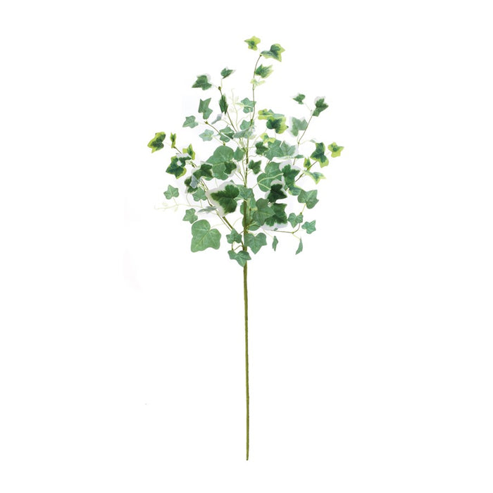Melrose International Mixed Ivy Foliage Bush, Set of 2, Green/White
