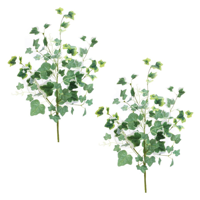 Melrose International Mixed Ivy Foliage Bush, Set of 2, Green/White