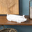 Melrose International Ceramic Pig Planter 13"L, White