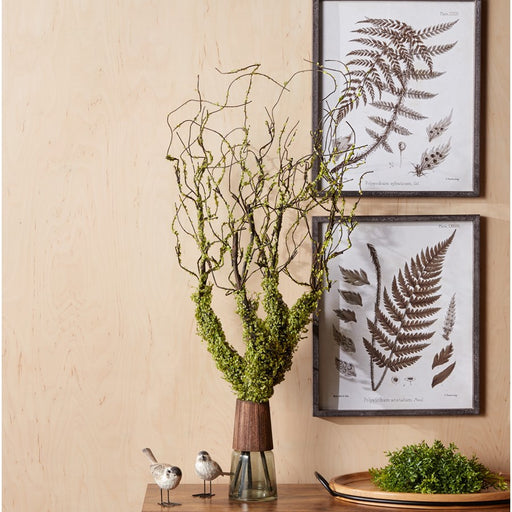 Melrose International Moss Foliage Vine Branch, Set of 2, Green/Brown