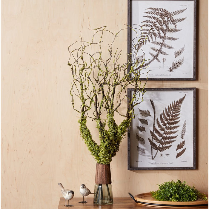 Melrose International Moss Foliage Vine Branch, Set of 2, Green/Brown