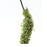 Melrose International Moss Foliage Vine Branch, Set of 2, Green/Brown