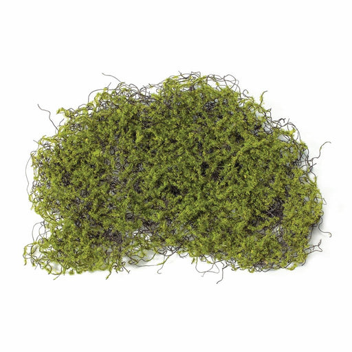Melrose International Organic Moss Matt, Set of 12, Green/Brown - 88672DS