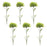 Melrose International Puff Flower Stem, Set of 6, Green