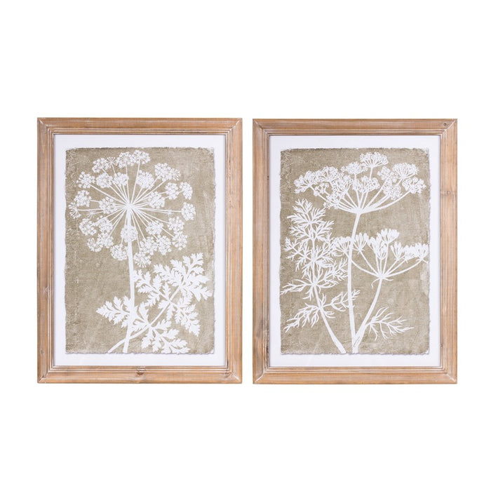 Melrose Framed Queen Anne's Lace/Fern Wall Art, Set of 2, Brown/White - 88730DS