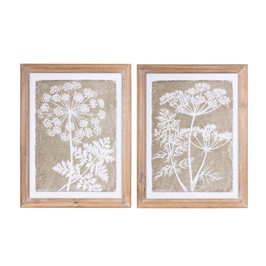Melrose Framed Queen Anne's Lace/Fern Wall Art, Set of 2, Brown/White - 88730DS