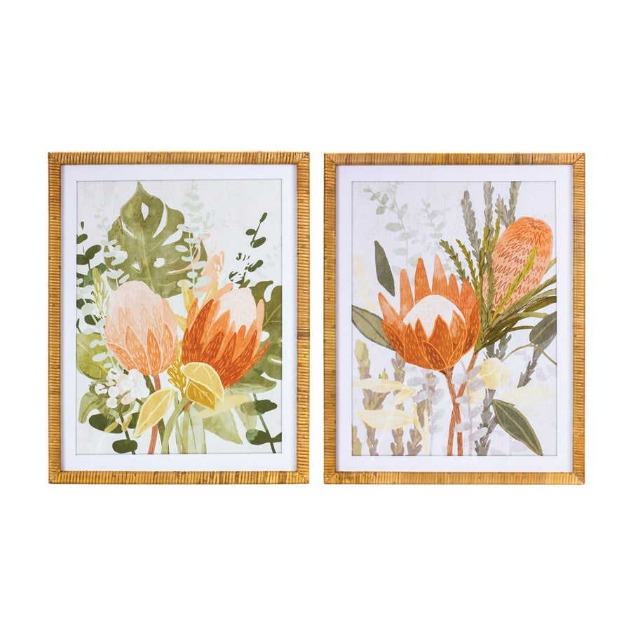 Melrose Framed Protea Floral Wall Art, Set of 2, Green/White - 88731DS