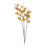 Melrose International Seeded Eucalyptus Stem, Set of 6, Brown - 88815DS