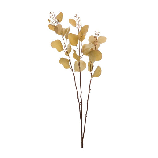 Melrose Seeded Eucalyptus Stem (Set of 2), Brown - 88815DS
