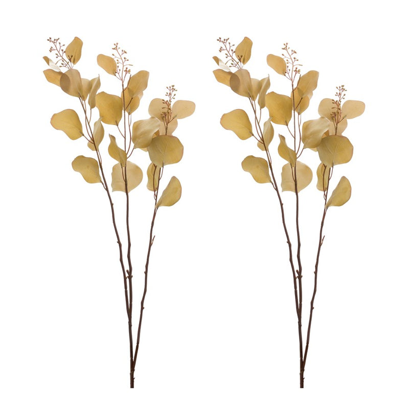 Melrose Seeded Eucalyptus Stem (Set of 2), Brown