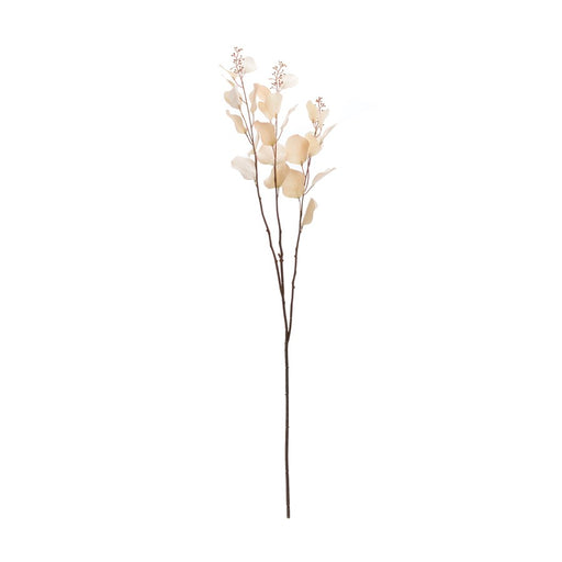Melrose International Seeded Eucalyptus Stem, Set of 6, Beige