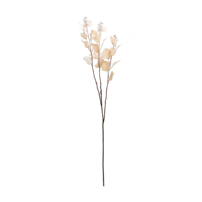 Melrose International Seeded Eucalyptus Stem, Set of 6, Beige