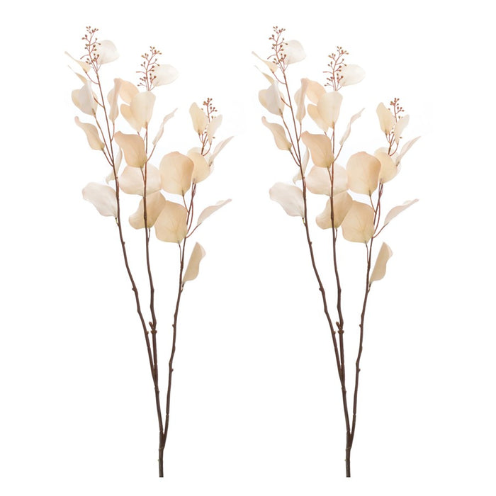 Melrose International Seeded Eucalyptus Stem, Set of 6, Beige