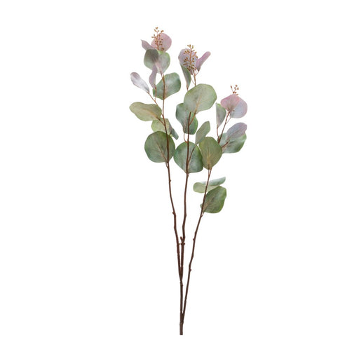 Melrose International Seeded Eucalyptus Stem, Set of 6, Green - 88817DS