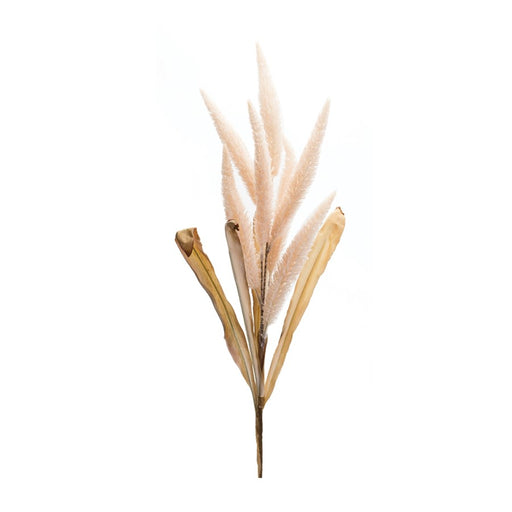 Melrose International Foxtail Plume Stem, Set of 2, Pink/Beige - 88822DS