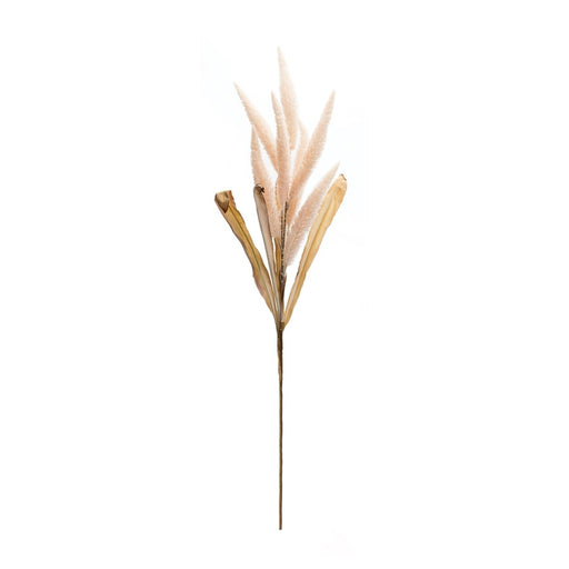 Melrose International Foxtail Plume Stem, Set of 2, Pink/Beige