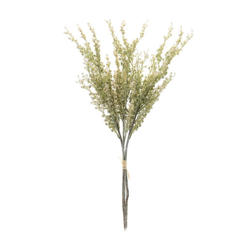 Melrose International Mini Seed Pod Bundle, Set of 2, Green