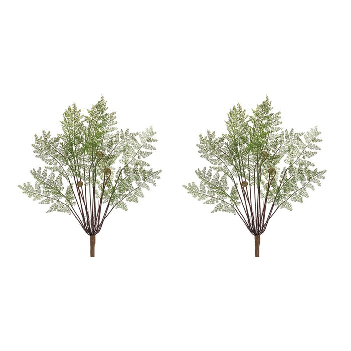 Melrose International Fern Bush, Set of 2, Green/Brown