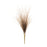 Melrose International Grass Plume Bundle, Set of 2, White/Brown - 88867DS