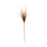 Melrose International Grass Plume Bundle, Set of 2, White/Brown