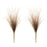 Melrose International Grass Plume Bundle, Set of 2, White/Brown