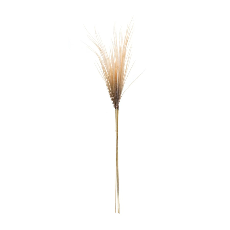 Melrose International Grass Plume Bundle, Set of 2, Brown