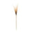 Melrose International Grass Plume Bundle, Set of 2, Brown