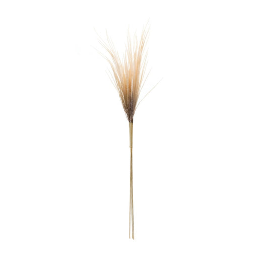 Melrose International Grass Plume Bundle, Set of 2, Brown