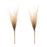 Melrose International Grass Plume Bundle, Set of 2, Brown