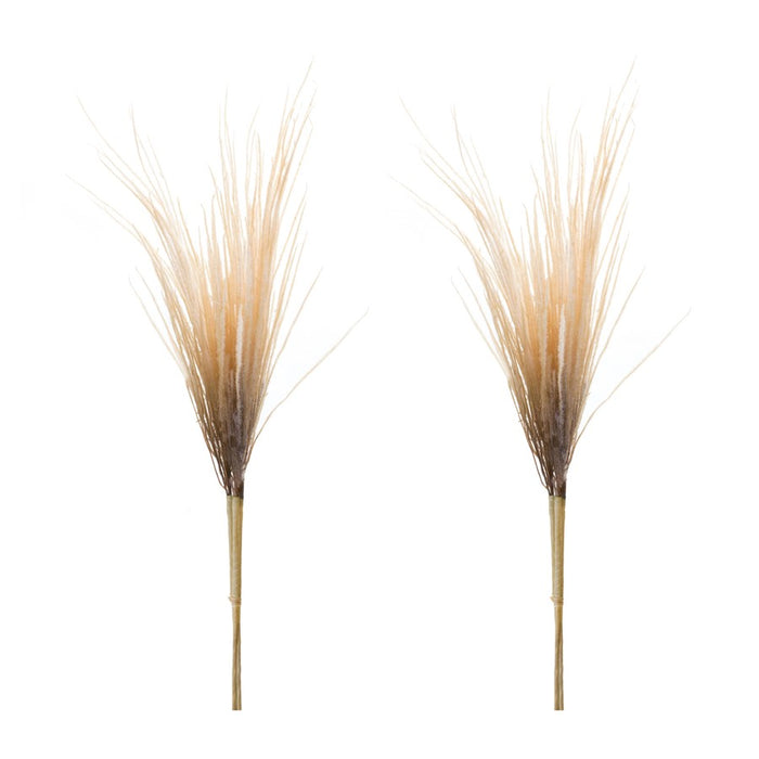 Melrose International Grass Plume Bundle, Set of 2, Brown