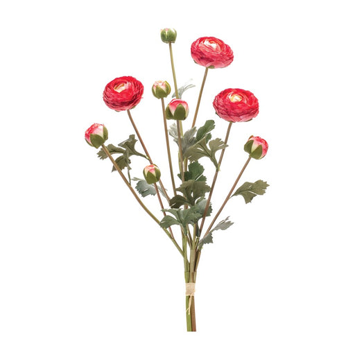 Melrose International Ranunculus Bundle, Set of 2, Red/White/Green - 88879DS