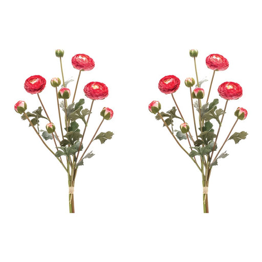 Melrose International Ranunculus Bundle, Set of 2, Red/White/Green