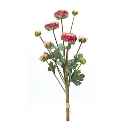 Melrose International Ranunculus Bundle, Set of 2, Green/Pink - 88880DS