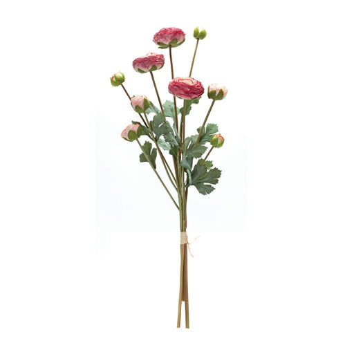 Melrose International Ranunculus Bundle, Set of 2, Green/Pink