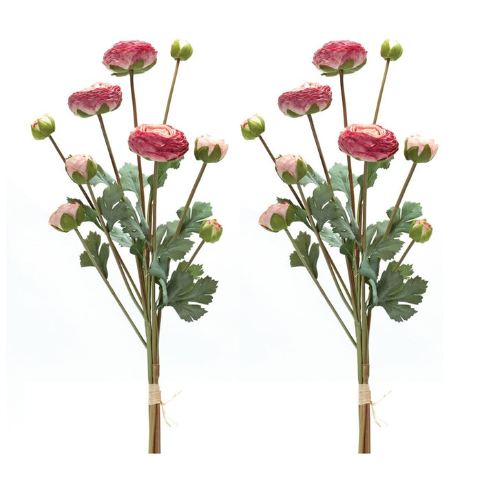 Melrose International Ranunculus Bundle, Set of 2, Green/Pink
