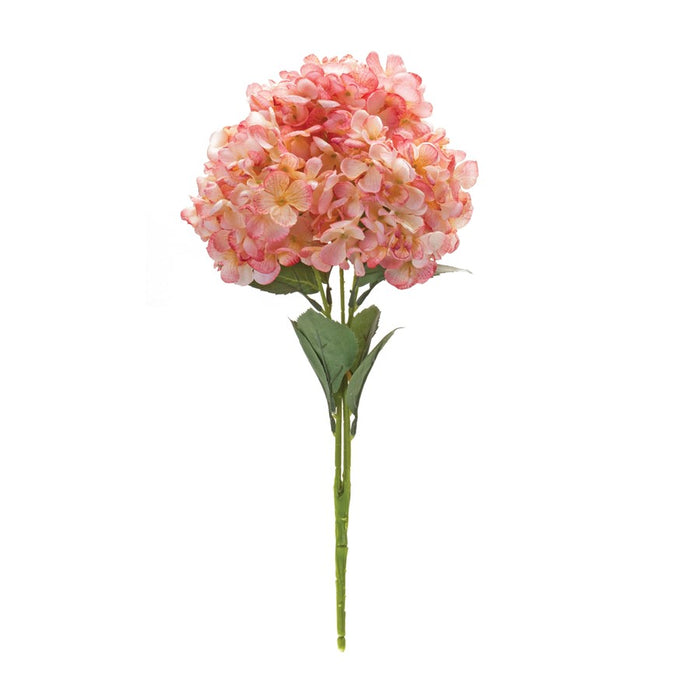 Melrose International Hydrangea Bush, Set of 2, Pink/Green