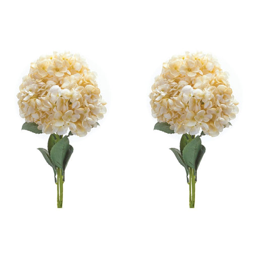 Melrose International Hydrangea Bush, Set of 2, White/Green