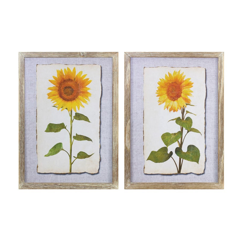 Melrose Framed Sunflower Print, Set of 2, Yellow/Brown/Green - 88890DS