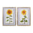 Melrose Framed Sunflower Print, Set of 2, Yellow/Brown/Green - 88890DS
