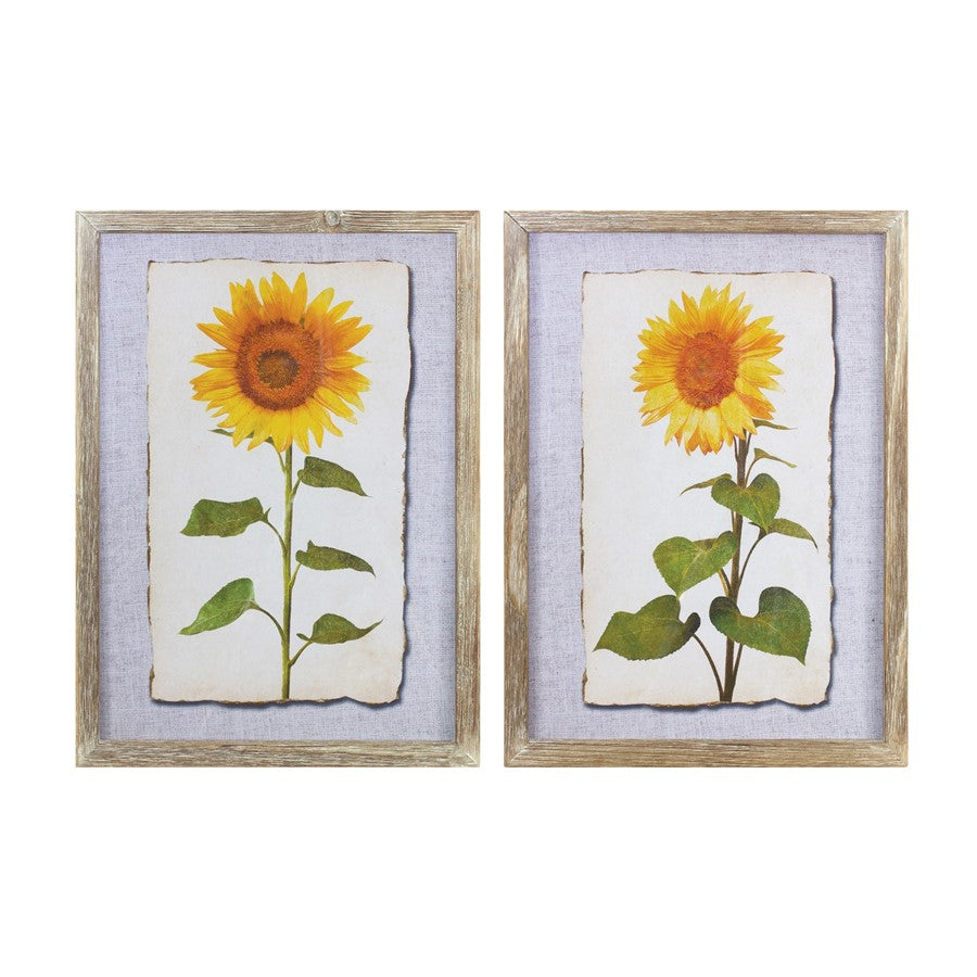 Melrose Framed Sunflower Print, Set of 2, Yellow/Brown/Green - 88890DS
