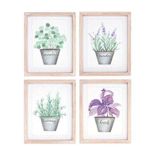 Melrose Framed Watercolor Herb Print, Set of 4, White/Green/Brown - 88916DS
