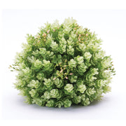 Melrose International Foliage Half Orb Green - 88919DS