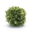 Melrose International Foliage Half Orb, Set of 2 - 88923DS
