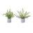 Melrose International Potted Fern Plant, Set of 2, Green/Grey - 88947DS