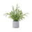 Melrose International Potted Fern Plant, Set of 2, Green/Grey