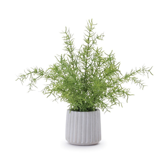 Melrose International Potted Fern Plant, Set of 2, Green/Grey