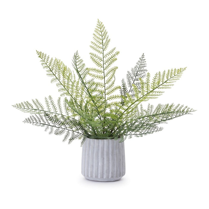 Melrose International Potted Fern Plant, Set of 2, Green/Grey