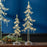 Melrose Int. LED Acrylic Dripping Pine Tree, Set of 2, CleaRed